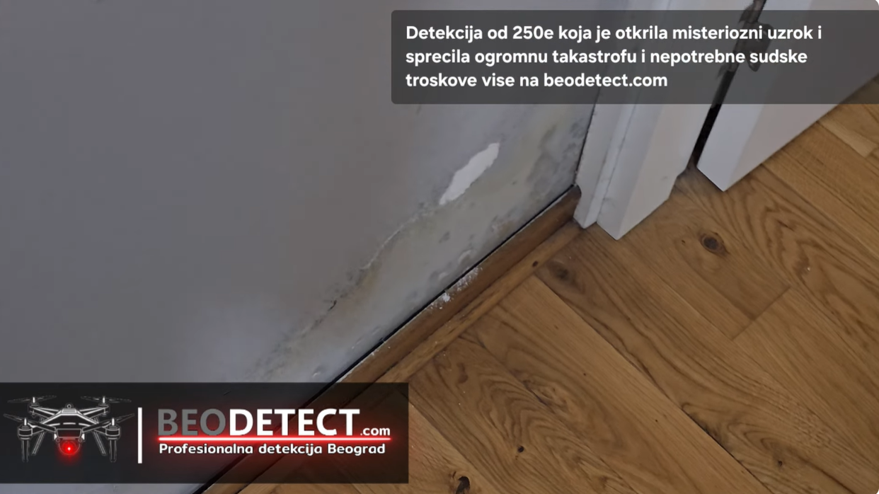 Misteriozna detekcija beograd natapanje zidova vlaga vlazni zid vuce vlagu po celom stan prodaja stana sutern vozdovac vlazan zid detekcija slucaj beograd