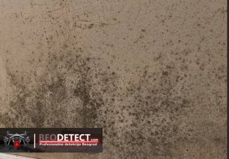 budj na zidu iza americkog plakara detekcija beograd beodetect