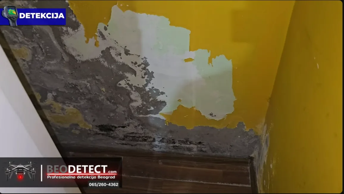Detekcija curenja vode - Termovizija Beograd - Najveci slucaj vlage u porodicnoj&hellip;