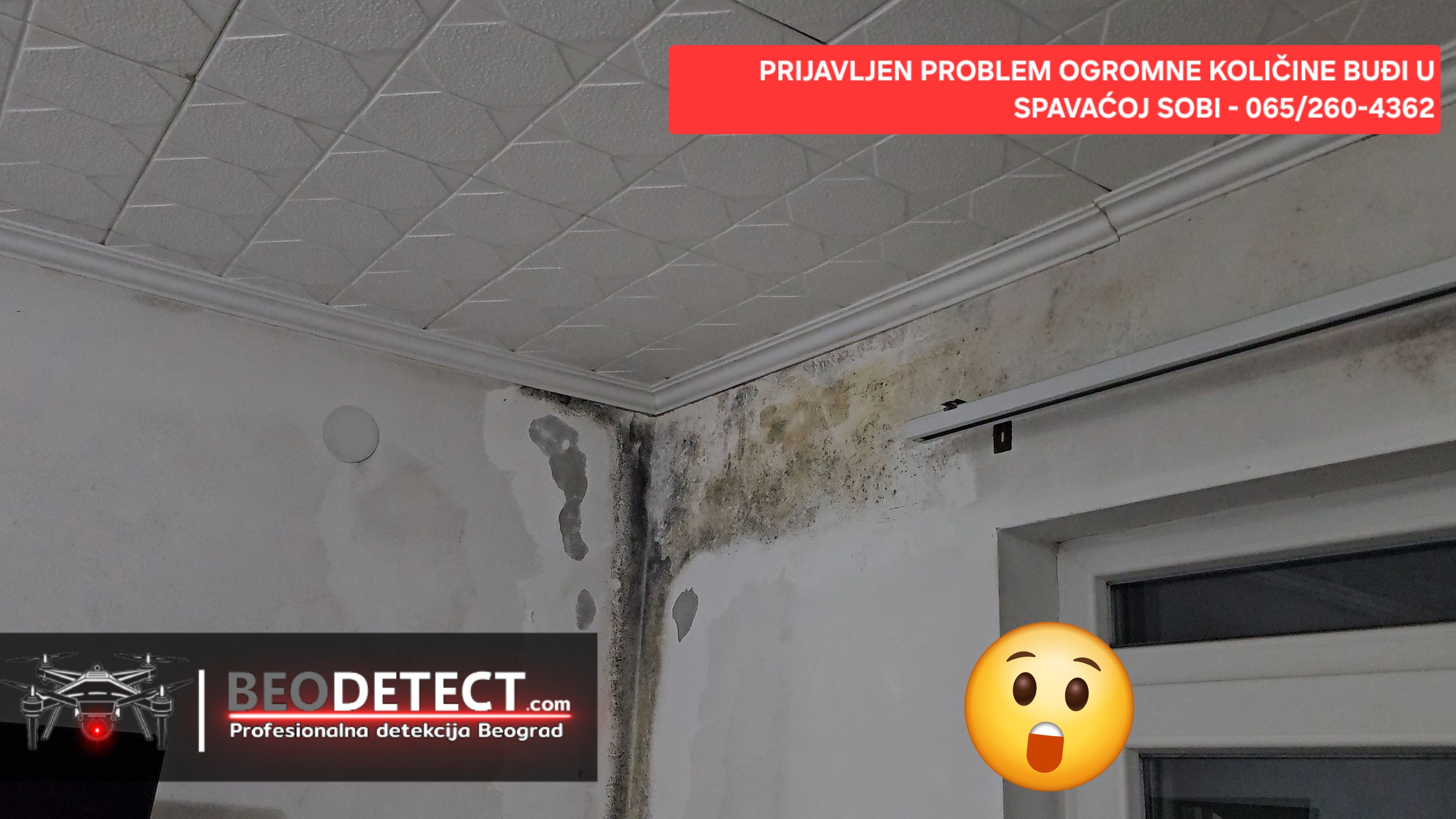 ogromna kolicina budji u spavacoj sobi novi beograd milutina milankovica - budj izaziva alergije po telu tesko disanje i astmu