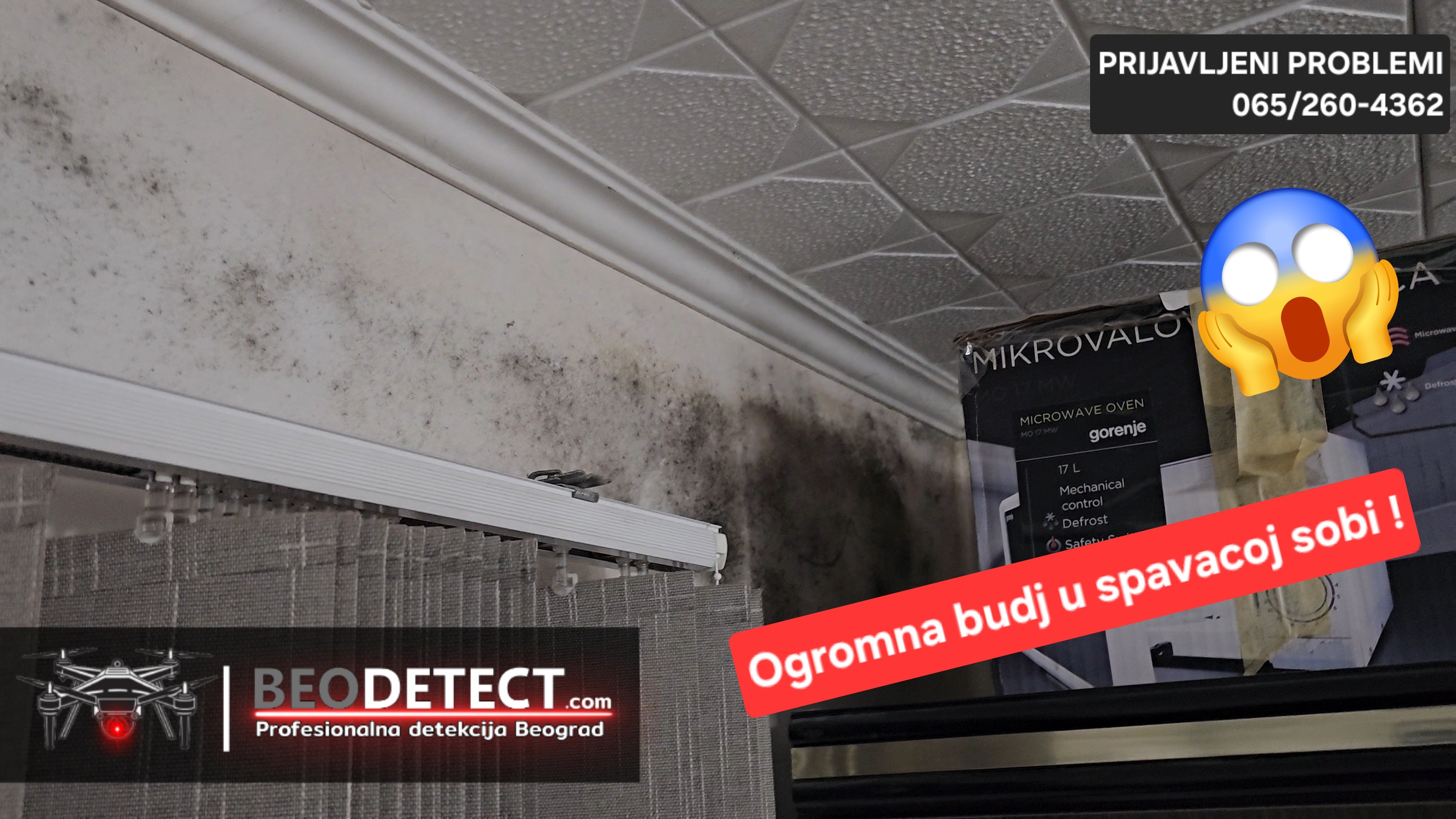 Prijavljen problem - Novi Beograd - Milutina Milankovica - Ogromna kolicina budji&hellip;