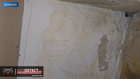 Curenje vode – detekcija, Palilula 6 — Palilula, Beograd