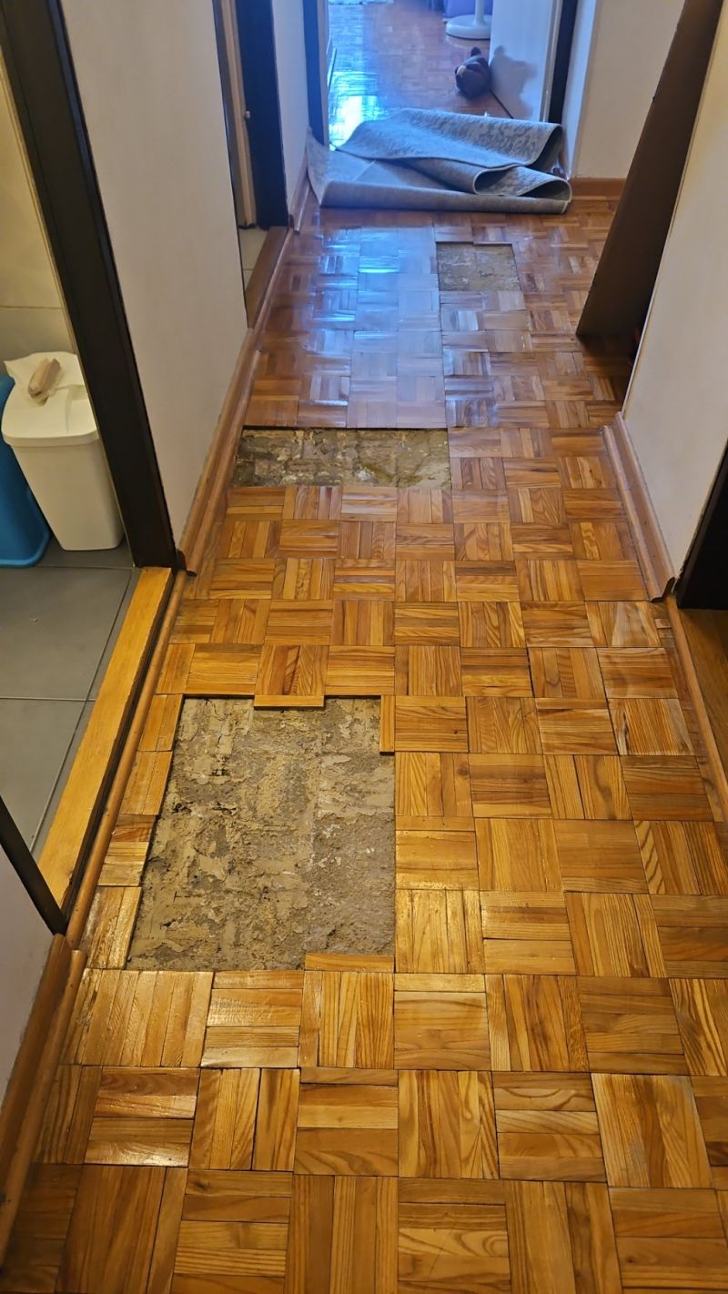 Curenje vode — Novi Beograd, Beograd (BD-2026-0038)